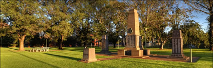 Callaghan Park - Temora - NSW (PBH3 00 16955)