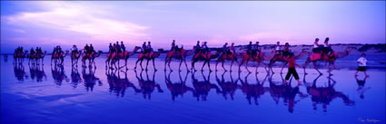 Camel Ride - Broome - WA (PB00 4076)