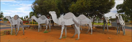 Camels - WA H (PBH3 00 0775)