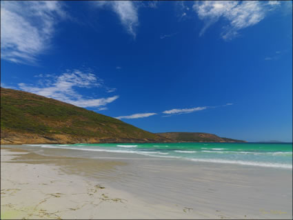 Cape - WA (PBH3 00 0838)