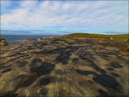 Cape Arid - WA SQ (PBH3 00 0893)