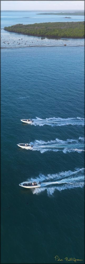Cape Don Boats - NT V (PBH3 00 12532)