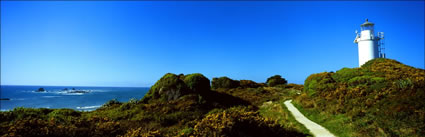 Cape Foulwind Lighthouse - NZ (PB00 2726)