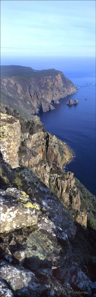 Cape Raoul - TAS (PB00 5761)