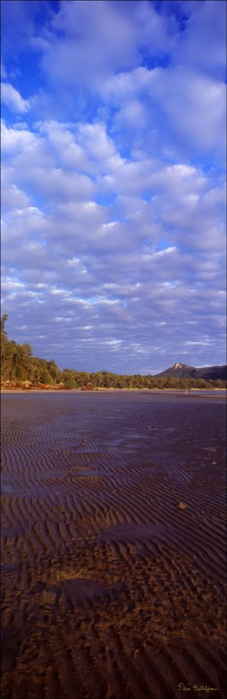 Cape Hillsborough Morning - QLD (PB 00 3525)