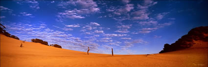 Carlo Sandblow - Rainbow Beach-QLD (PB00 4602)