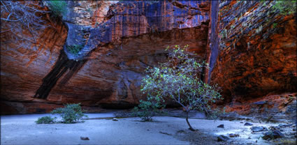 Cathedral Gorge - WA T (PBH3 00 11793)