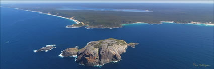 Chatham Island - WA (PBH3 00 5631)