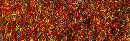 Chillies (PBH3 00 13828)