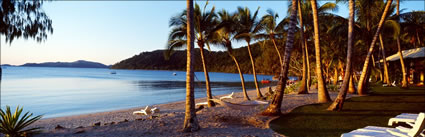 Club Crocadile Hammock - QLD (PB 003470)