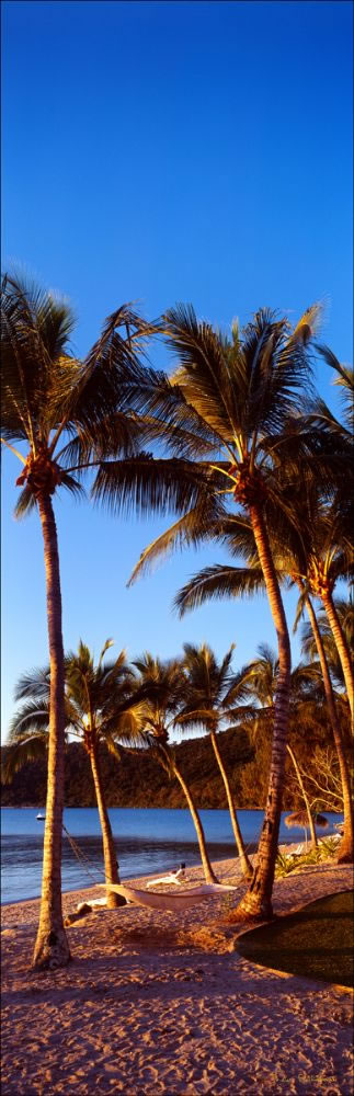 Club Crocadile Hammock Vertical -QLD (PB 003464)