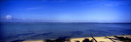 Coconut Palm Shadows - Fiji (PB00 4802)