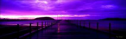 Coffs Harbour Jetty Purple - NSW (PB 003057)