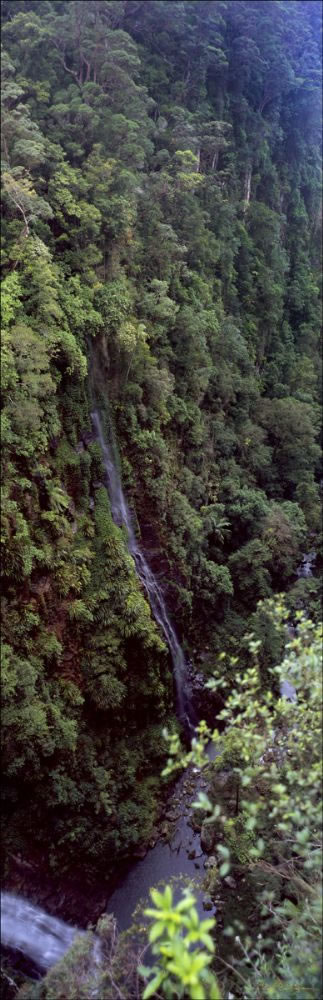 Coomera Falls - Lamington NP - QLD (PB00 1947)