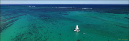 Coral Breeze - Coral Bay - WA H (PBH3 7743)