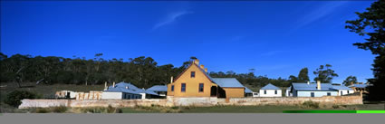 Darlington - Maria Island - TAS (PB00 5654)