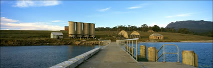 Darlington Jetty - Maria Island - TAS (PB00 5648)