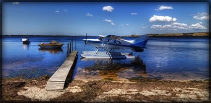 David's Maule T (PBH3 00 25443)