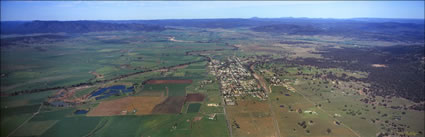 Denman - NSW (PB00 5971)