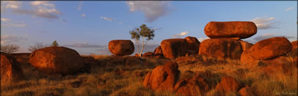 Devils Marbles - NT (PBH3 12615) 