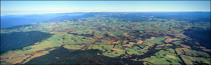 Dorrigo 3 - NSW (PB 00 1301)