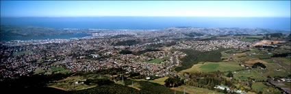 Dunedin from Behind - NZ (PB00 2718)