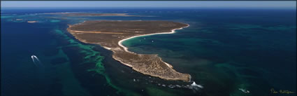 East Wallabi Island - WA (PBH3 00 7455)