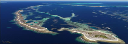 Easter Group - Abrolhos - WA (PBH3 00 4775)