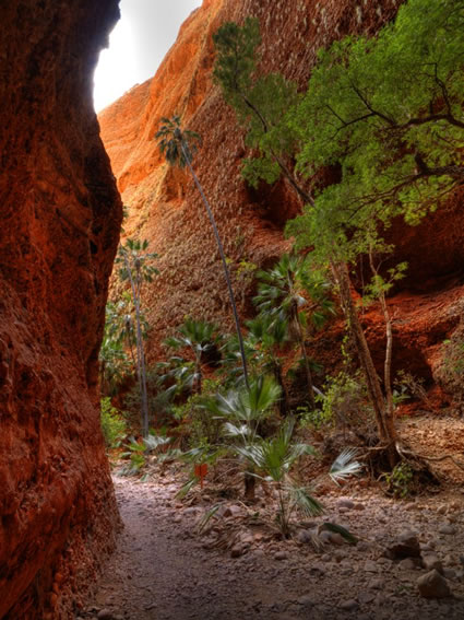 Echidna Chasm - WA (PBH3 00 11856)