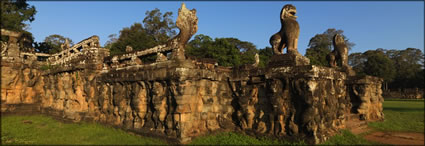 Elephant Terrace (PBH3 00 13733)