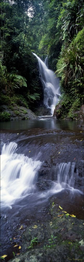 Ellabanna Falls Vertical - QLD (PB00 1954)