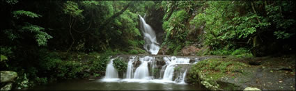 Ellabanna Falls - Lamington NP - QLD