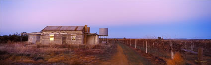 End of Season Vineyards - Mildura - VIC 