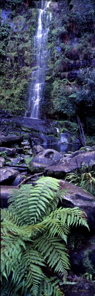 Erskine Falls - Lorne - VIC (PB00 5711)