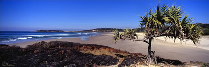 Evans Head - NSW (PB00 5986)