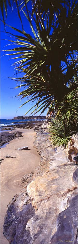 Evans Head Vertical- NSW (PB00 6013)