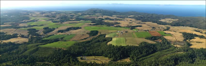 Farms near Wynyard - TAS (PBH3 00 0620)