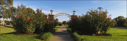 Federation Pathway - Junee - NSW (PBH3 00 17415)