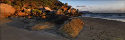 Finch Bay - Cooktown - QLD (PBH3 00 13386)