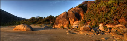 Finch Bay - Cooktown - QLD  T (PBH3 00 13392)