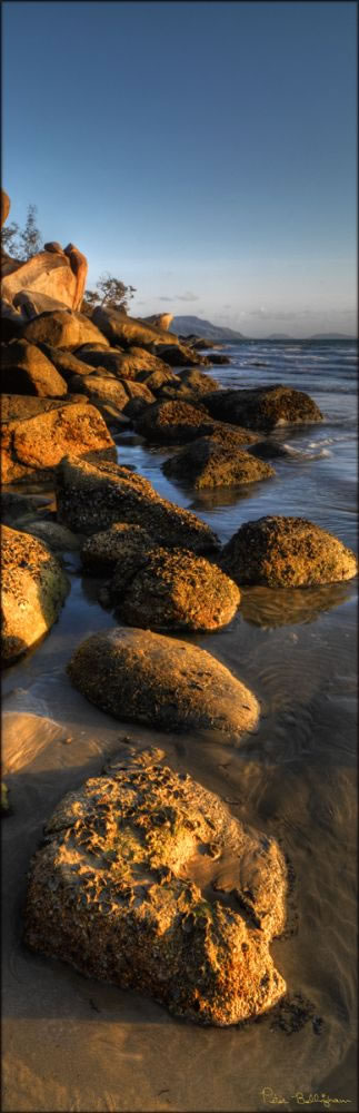 Finch Bay - Cooktown - QLD V (PBH3 00 13410)