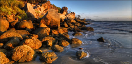 Finch Bay -  QLD T (PBH3 00 13401)