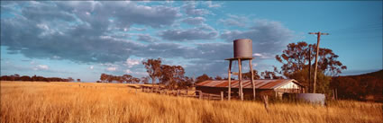 Finnie Shed - QLD (PB 002501)