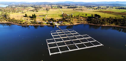 Fish Farm - TAS  T (PBH3 00 27991)