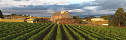 Forest Eco Centre - TAS H (PBH3 00  0517)