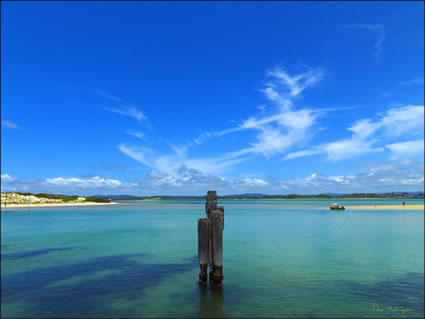 Forster - NSW SQ (PBH3 00 0230)