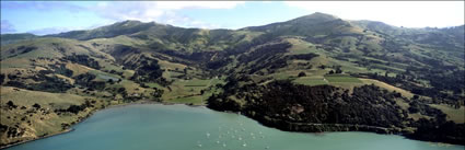 French Farm - NZ (PB00 2619)