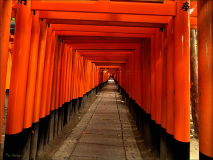 Fuishi Inari - Japan (PB H3D SQ 000097)