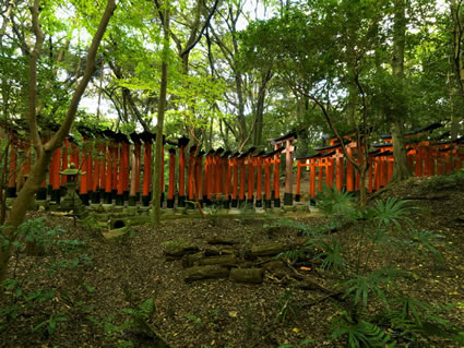 Fuishi Inari - Japan SQ (PBH3 00 0098)