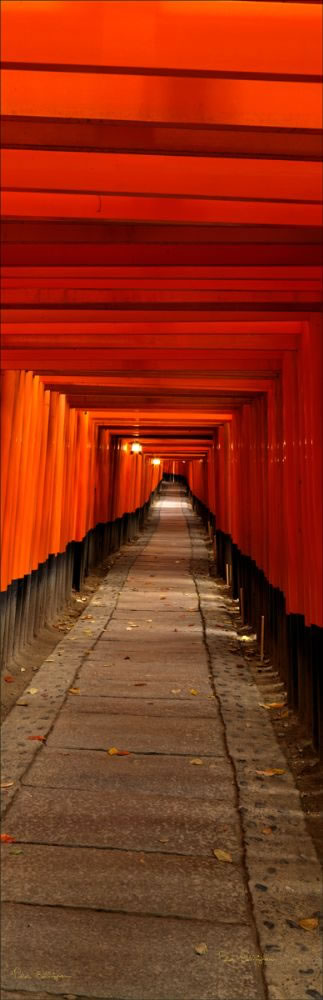 Fuishi Inari - Japan V (PBH3 00 0097)